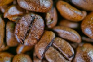 Read more about the article Journey of Fairtrade Coffee Beans at Lidl UK: From Farm to Cup