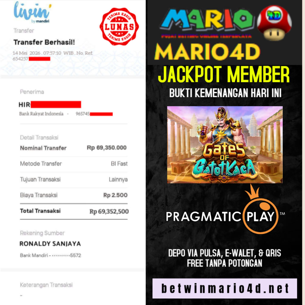MARIO 14