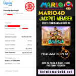 MARIO 14
