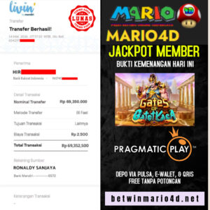 MARIO 14