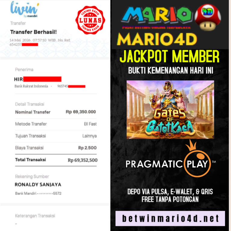 MARIO 14