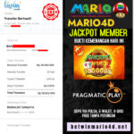 mario 12