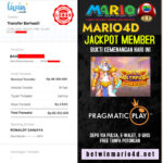 mario 13