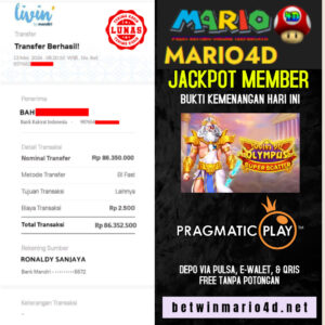 mario 13