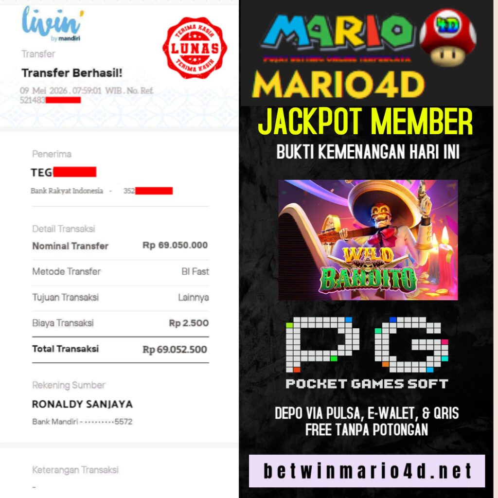 mario4d 09