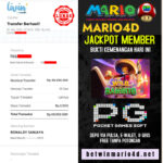 mario4d 09