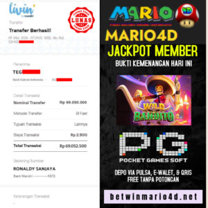 mario4d 09