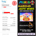 mario4d 11