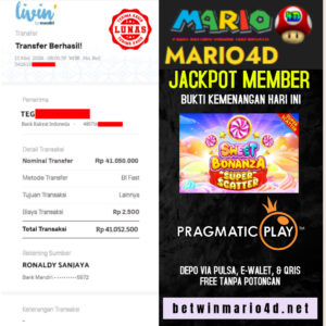 mario4d 11